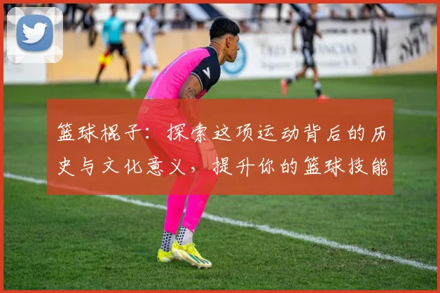 篮球棍子：探索这项运动背后的历史与文化意义，提升你的篮球技能与乐趣